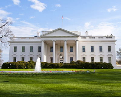 white house400by400