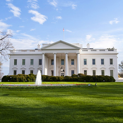 white house400by400