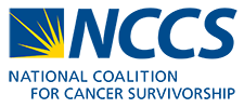 NCCS logo blue yellow sm2