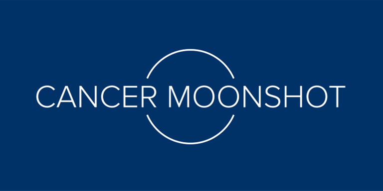 Moonshot Logo Wide