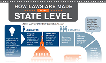 How state laws are made