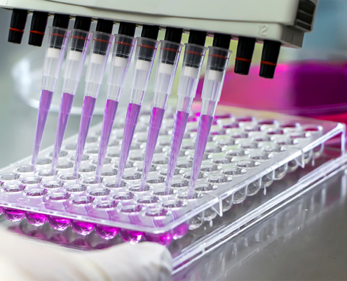 a photo of a Researcher using micropipettes with purple-colored solution, for biologic tests