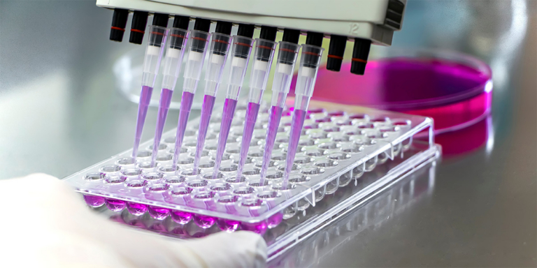 a photo of a Researcher using micropipettes with purple-colored solution, for biologic tests