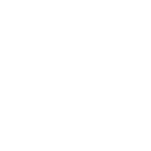 Icon of a toothbrush